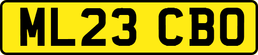 ML23CBO