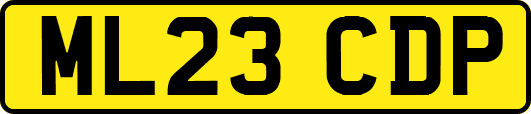 ML23CDP