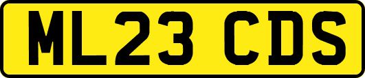ML23CDS