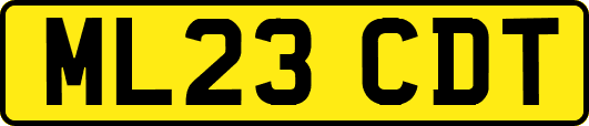 ML23CDT