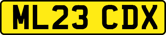 ML23CDX