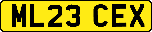 ML23CEX