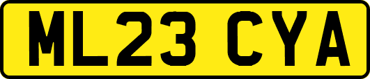 ML23CYA