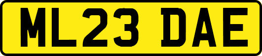 ML23DAE