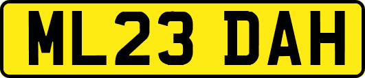ML23DAH
