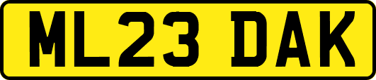 ML23DAK