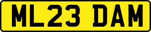 ML23DAM