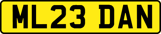 ML23DAN