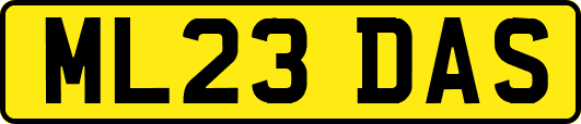 ML23DAS