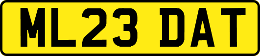 ML23DAT