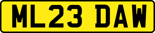 ML23DAW