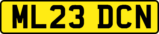 ML23DCN