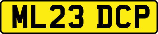 ML23DCP