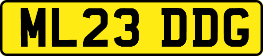 ML23DDG