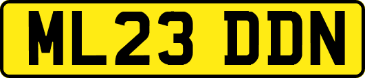 ML23DDN