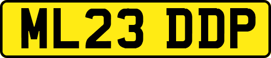 ML23DDP