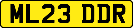 ML23DDR