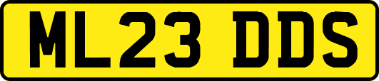 ML23DDS