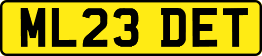 ML23DET
