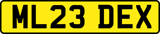 ML23DEX