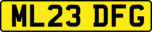 ML23DFG