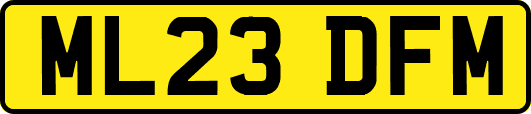 ML23DFM