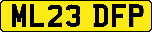 ML23DFP