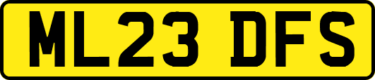 ML23DFS