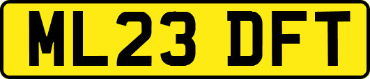 ML23DFT