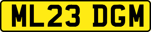 ML23DGM