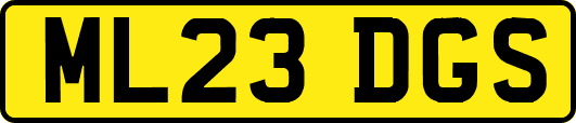 ML23DGS
