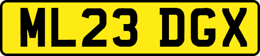 ML23DGX