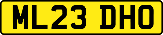 ML23DHO