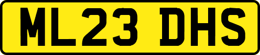 ML23DHS