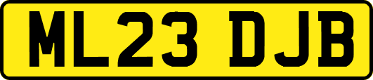ML23DJB