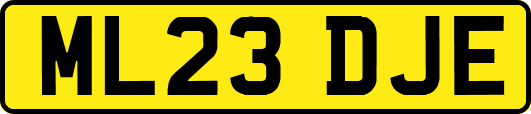 ML23DJE