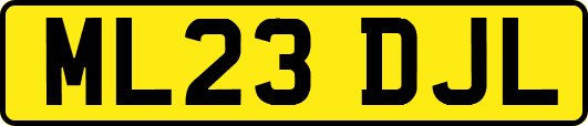 ML23DJL
