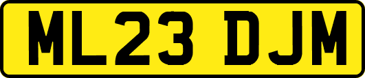 ML23DJM