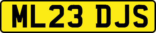 ML23DJS