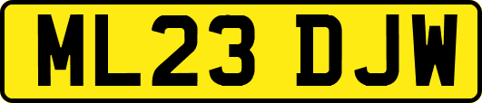 ML23DJW