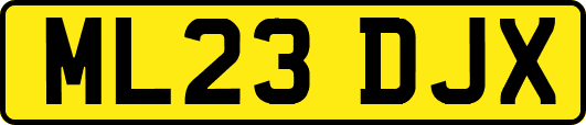 ML23DJX