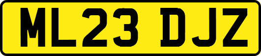 ML23DJZ