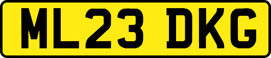 ML23DKG