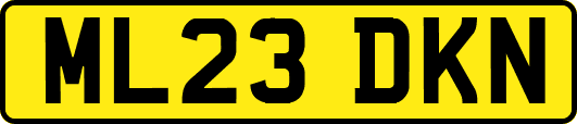ML23DKN