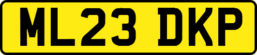 ML23DKP