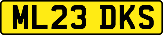 ML23DKS