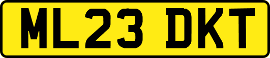 ML23DKT