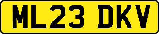 ML23DKV