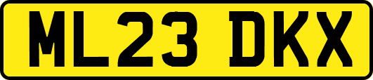 ML23DKX