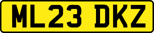 ML23DKZ
